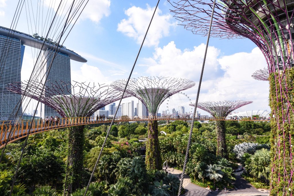 Gardens by the bay, Singapur © a-tour travel